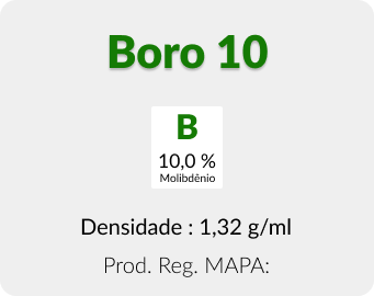 Boro10-img